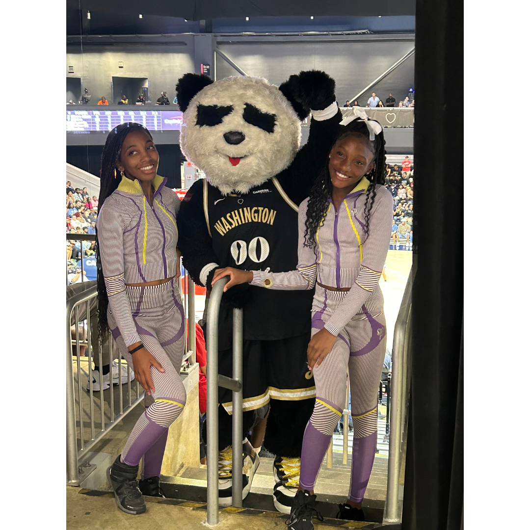 Prissy Purple Legging Set