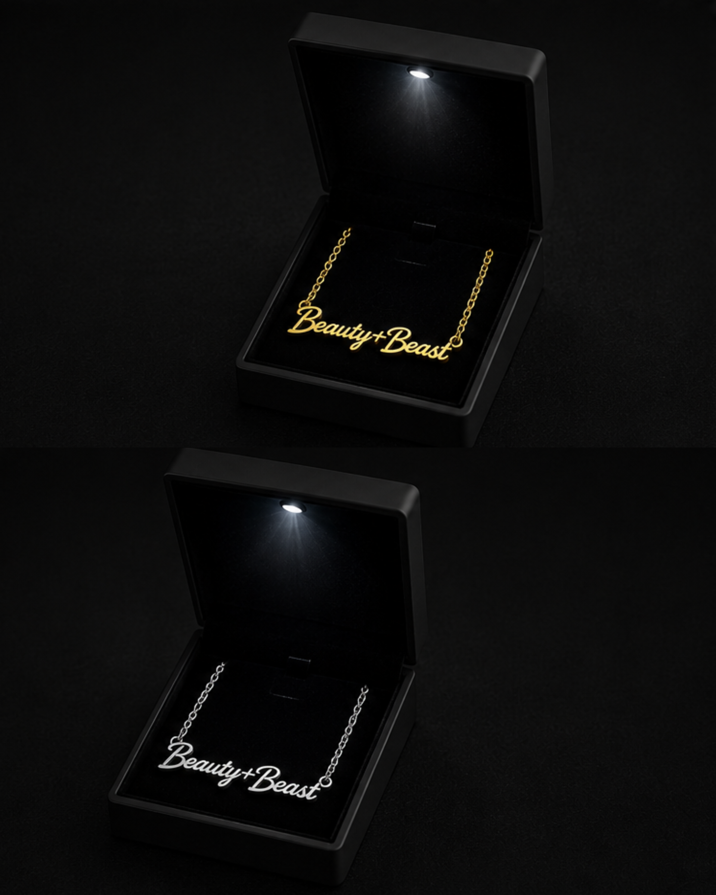 Beauty + Beast Necklace (Gold & Silver)